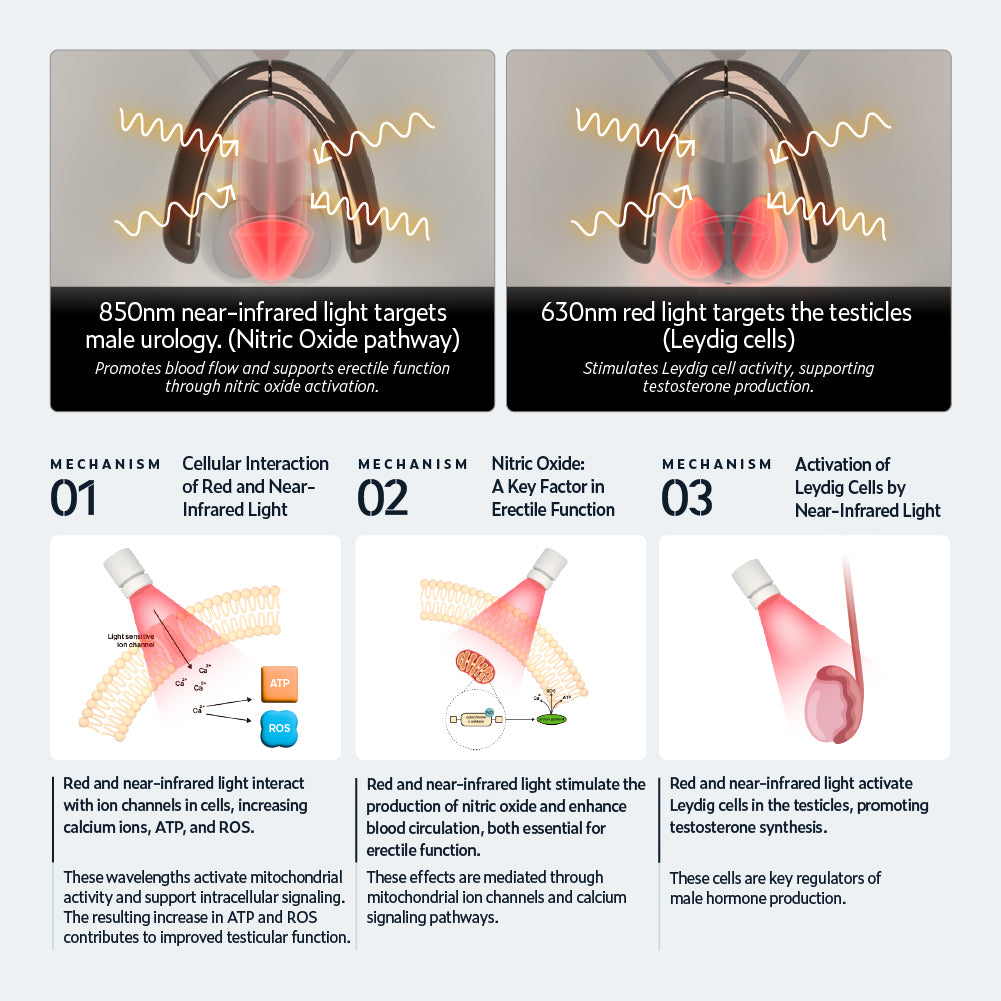 KAISAR: Male Urology Wearable Device